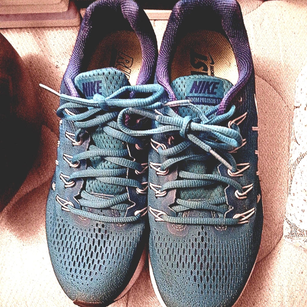 Nike zooms Pegasus 33 9.5 Blue